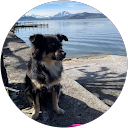 Profilbild von Max M.